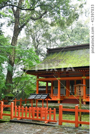 Usa Shrine of rain Usa Shrine of rain 41397833