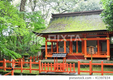 Usa Shrine of rain 41397834