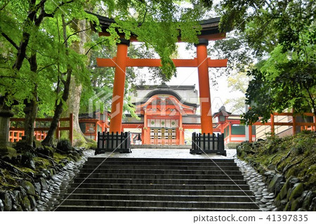 美國雨的神社 41397835