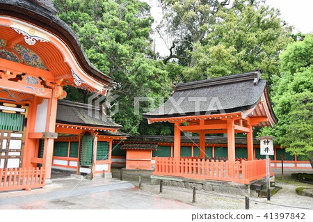 美國雨的神社 41397842