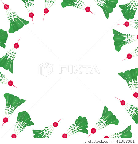Radish illustration vegetable frame Radish illustration vegetable frame 41398091