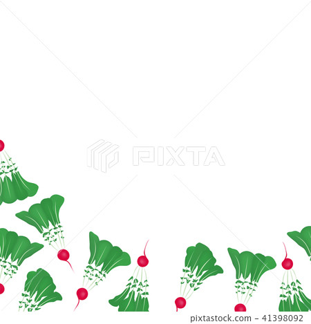 Radish illustration vegetable frame Radish illustration vegetable frame 41398092
