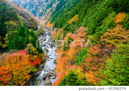 Odo名谷（秋季） 41398574