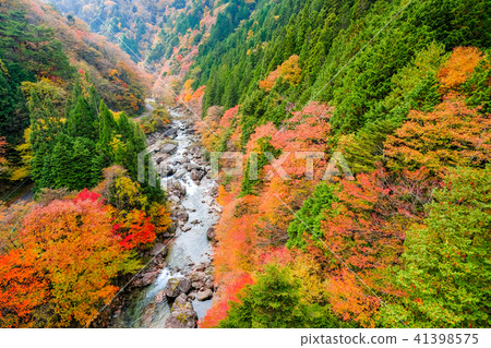 Odo名谷(秋季) Odo名谷(秋季) 41398575