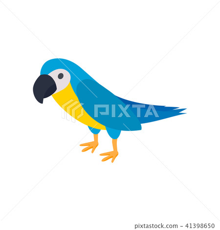 Blye brazil parrot icon, isometric 3d style Blye brazil parrot icon, isometric 3d style 41398650