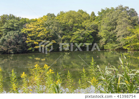 Gourd pond in Tomozan park (Sayama city, Saitama prefecture) 41398754