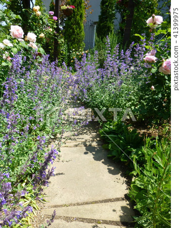 接近西式住宅公園 41399975