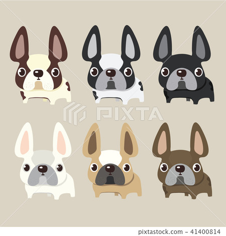 french bulldog set design, pet and animal concept french bulldog set design, pet and animal concept 41400814