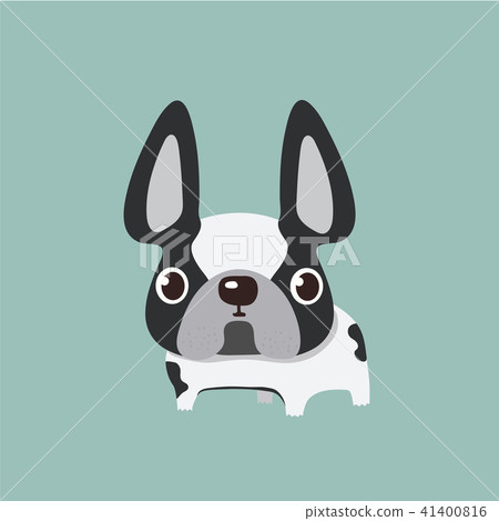 french bulldog design, pet and animal concept. french bulldog design, pet and animal concept. 41400816