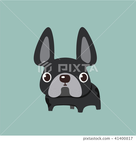 french bulldog design, pet and animal concept.  41400817