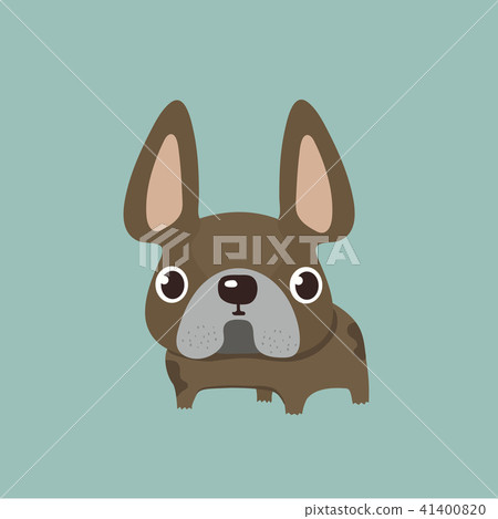 french bulldog design, pet and animal concept.  41400820