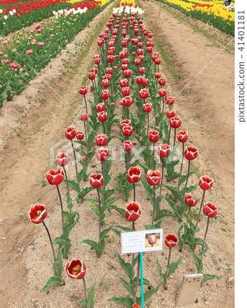 萊諾克斯 41401181