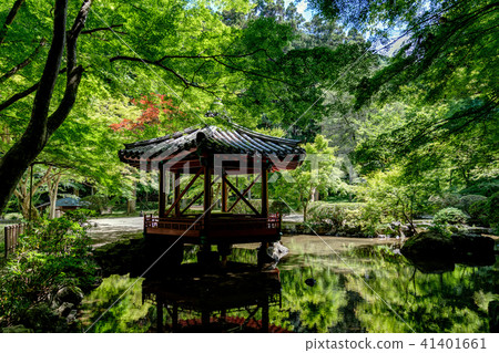 Hokkaidatei 41401661