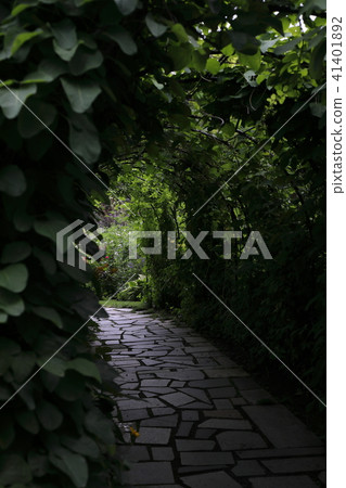 Landscape in the garden 41401892