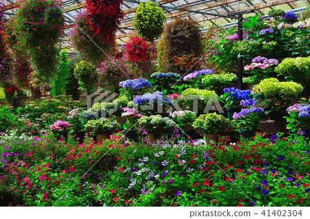 花溫室 花溫室 41402304