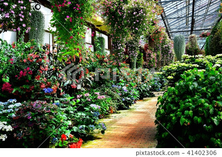 花溫室 花溫室 41402306