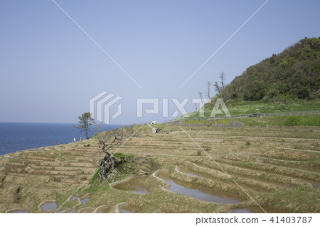 Shirahama Senjita Shirahama Senjita 41403787