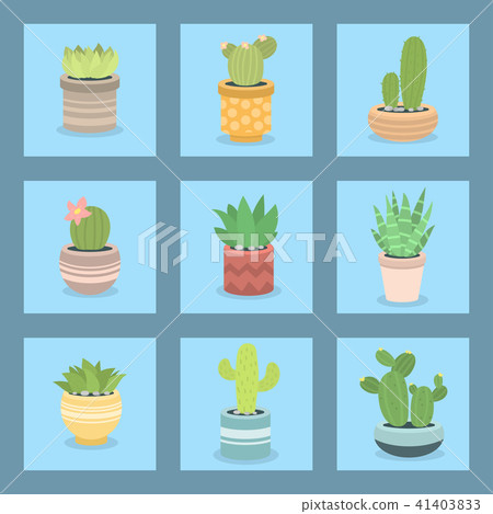 Cactus green plant cactaceous home nature cacti vector illustration of tree with flower Cactus green plant cactaceous home nature cacti vector illustration of tree with flower 41403833
