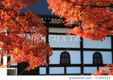 Autumn leaves of the temple 41404541