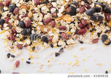 Millet 41404636
