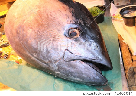 金槍魚 41405014