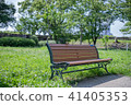 Bench and Sparrow 41405353