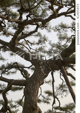 Cho Seijin (Historic Site No. 225), Ganghwa-gun, Incheon 41405973