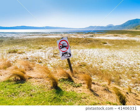 Crocodile warning and no swimming sign 41406331