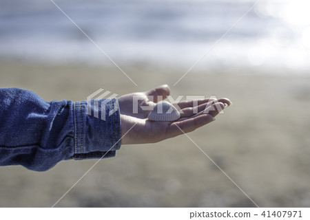 Seashell of palm Seashell of palm 41407971