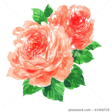 bloom, blossom, blossoms 41408729