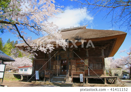 Cherry blossoms of Tateki Kannon (Fukushima / Aizusaka-shi town) 41411152