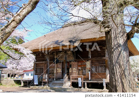 Tateki Kannon(福島縣·會津縣城)的櫻花 Tateki Kannon(福島縣·會津縣城)的櫻花 41411154