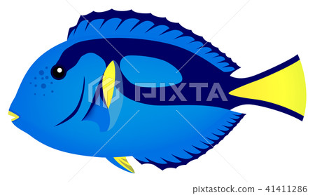 Nanohowaki白色背景 41411286