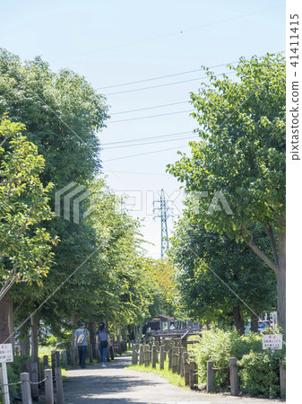 Togei河水上公園（東京都葛飾區）的散步 41411415