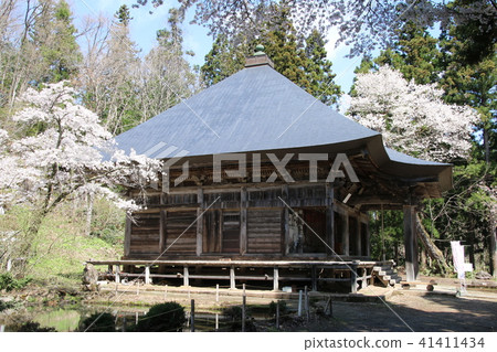 Cherry blossoms at the Temple for Law (Fukushima / Aizu Misato Town) 41411434
