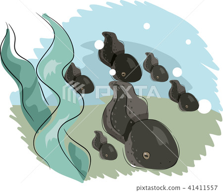 Frog Tadpole Illustration 41411557