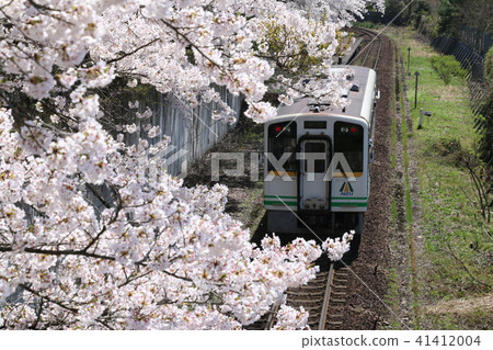 Ashinomaki Onsen South Station（福島/會津若松市）的櫻花 41412004