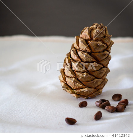 Isolated Cedar cones. White and dark background. 41412342