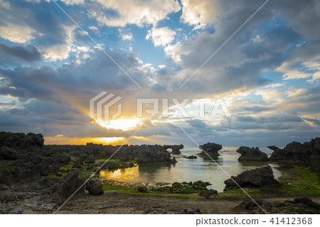 Okinoerabujima Uzihama Teriyaki Morning glow Okinoerabujima Uzihama Teriyaki Morning glow 41412368