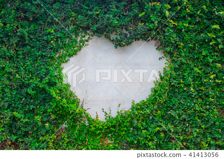 Heart shaped, Brick Wall Covered by Green Plant Heart shaped, Brick Wall Covered by Green Plant 41413056