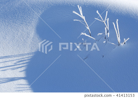 Snowy face of fog ice Morning of freezing point in the morning of winter 41413153