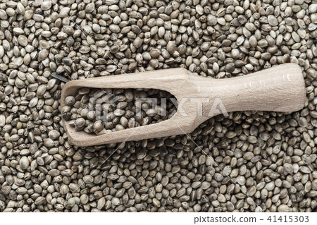 cannabis seeds close-up cannabis seeds close-up 41415303