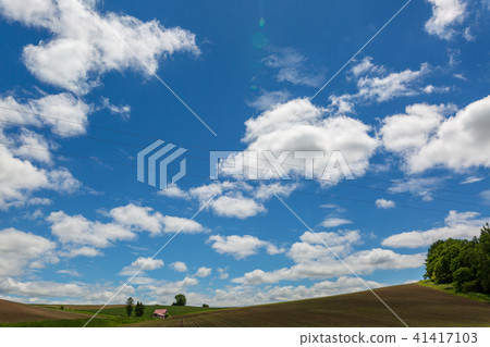Red roof house Biei 41417103