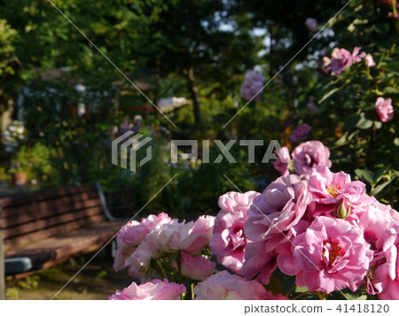 Tama City Green Living Center (Rose) Tama City Green Living Center (Rose) 41418120