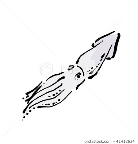 Seafood illustrations Seafood illustrations 41418634