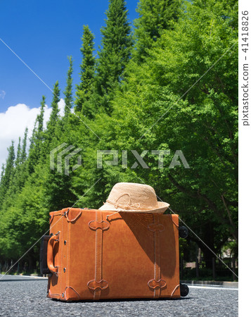 Gingko line tree at Jingu Gaien 41418826