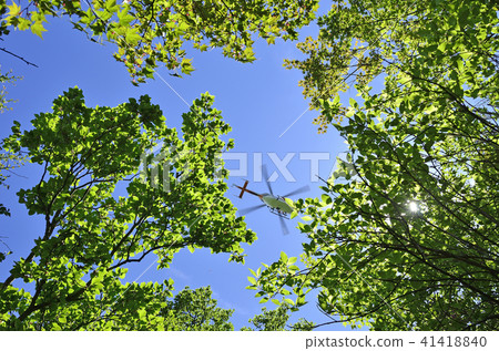 一架直升機飛越森林區 41418840