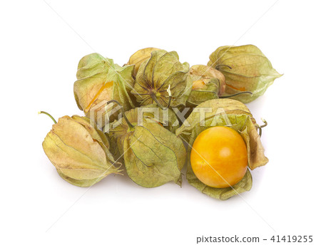 Cape gooseberry fruit isolated on white background 41419255