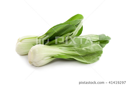 Bok choy vegetable isolated on the white Bok choy vegetable isolated on the white 41419297