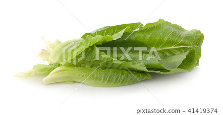 Salad mix with rucola, frisee, radicchio Isolated Salad mix with rucola, frisee, radicchio Isolated 41419374